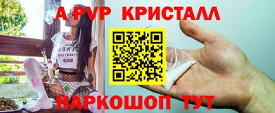 шишки Будённовск