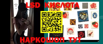шишки Будённовск