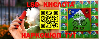 шишки Будённовск