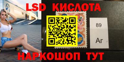 шишки Будённовск